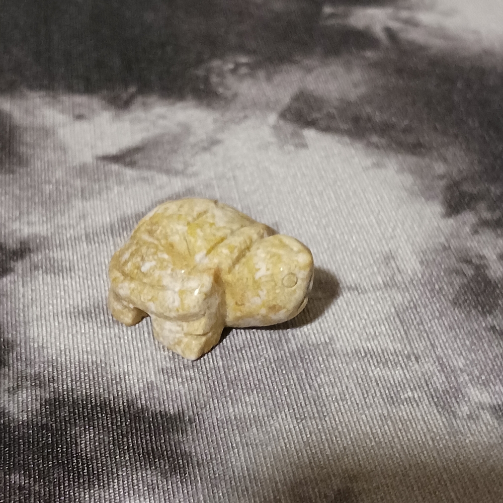 Crystal Turtle - Picture 2 of 8